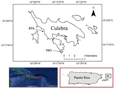 Caribbean Near-Shore Coral Reef Benthic Community Response to Changes on Sedimentation Dynamics and Environmental Conditions